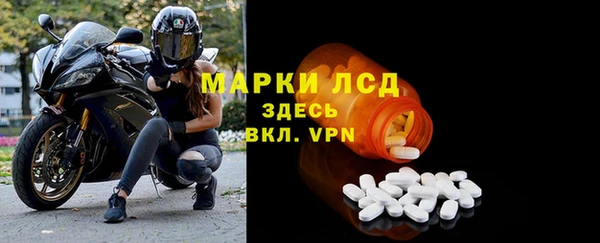 ECSTASY Алзамай