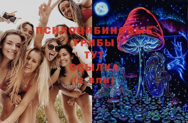 Альфа ПВП Абаза