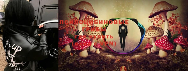 Альфа ПВП Абаза
