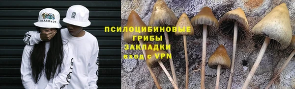 Альфа ПВП Абаза