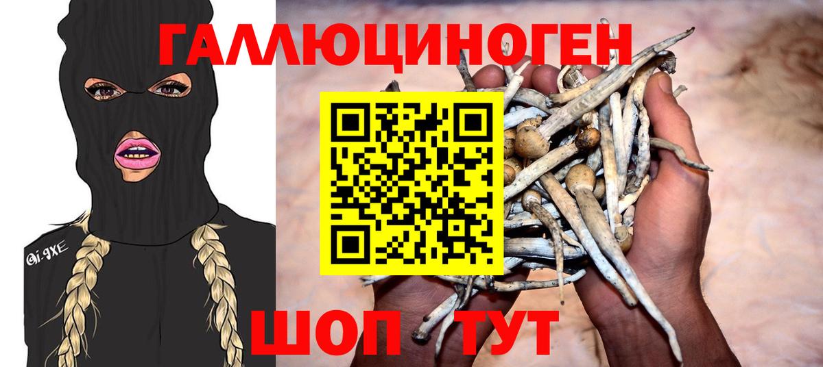 Псилоцибиновые грибы ЛСД Череповец